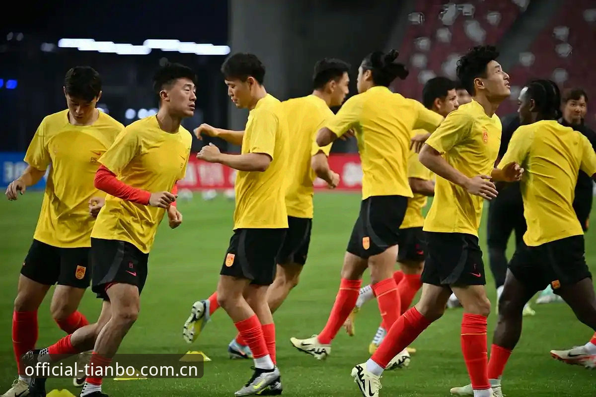 世界杯66队扩军 vs 48队现状：中国男足的机遇与天博体育平台的全球化视角